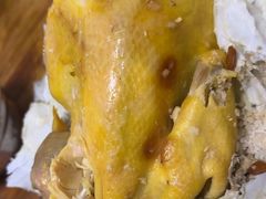 -吉英盐焗鸡(文中路店)