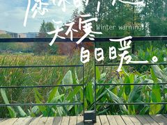 -3W咖啡(国家软件园店)