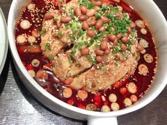 -楊公子民间菜