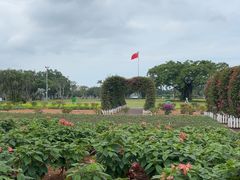 -万绿园