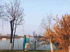 -灞河西岸滨河公园