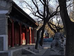 -北京第二实验小学