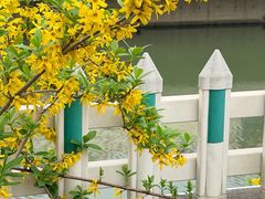 -圩墩遗址公园