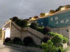-青藤茶馆(南山路店)