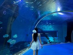 -哈尔滨波塞冬海底世界