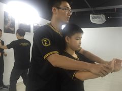 -温鉴良实用咏春拳