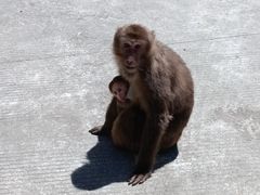 -西岭雪山大飞水景区