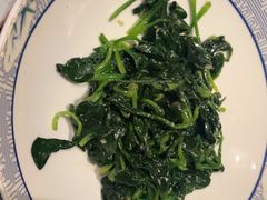 -沈灶河豚宴·河豚融合餐厅(汉中路店)