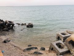-东疆建设开发纪念公园