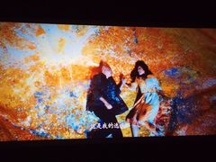 -武汉华夏国际影城(鲁广店)