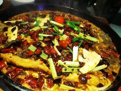 -老板恋上鱼(高新万达店)