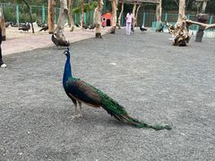 -水上乐园·欢乐世界