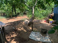 -水库活鱼馆(于桥水库店)