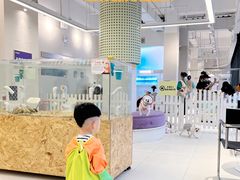 -怪兽屋·羊驼·猫咖·狗咖(俊华广场店)