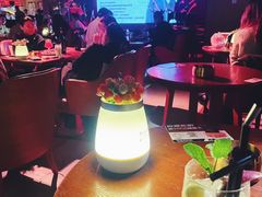 -阿卡贝拉音乐汇(印象城店)