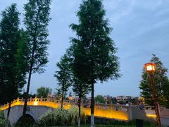 -眉山湿地公园(东坡区)