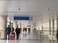 -首都医科大学附属北京天坛医院