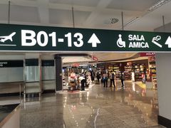 -米兰马尔彭萨国际机场