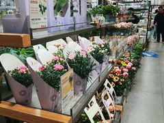 -鹿岛生活(熙地港店)