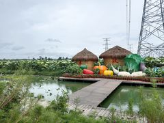 -池杉湖湿地公园