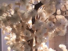 -九毛九西北菜(百信广场店)
