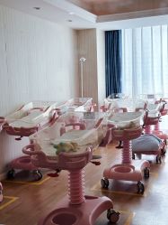 -诗安嘉康月子中心(未来方舟店)