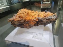 -湖南省地质博物馆