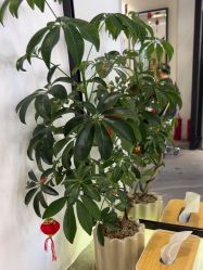 -LJOY丽锦造型·烫发染发