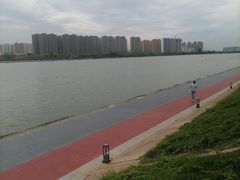 -渭滨公园