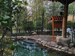 -深业半汤御泉庄温泉