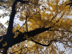 -西安市长乐公园