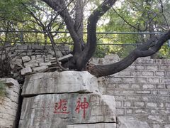 -锦屏山旅游度假区