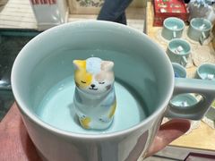 -猫的天空之城概念书店(丽江古城饮玉巷店)