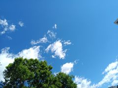-龙隆昌·鲜品火锅·江湖烤鱼