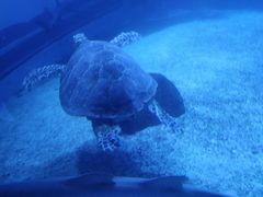 -上海市同济医院(大华门诊部)