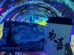 -上海梵高星空艺术馆(南京路旗舰店)
