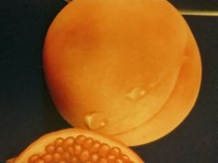 -年记·兴顺斋 牛街清真熟食小吃店