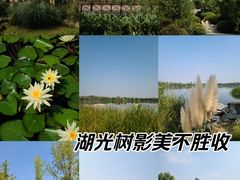 -渼陂湖