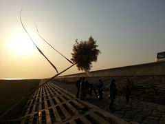 -南汇嘴观海公园