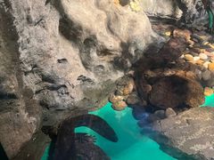 -常州海昌海洋探索馆
