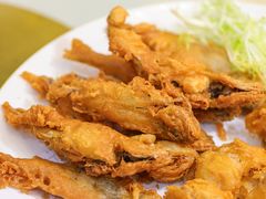 -有腥气私房菜·寻味顺德