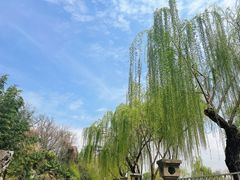 -平山宴(瘦西湖店)