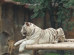 -北京野生动物园