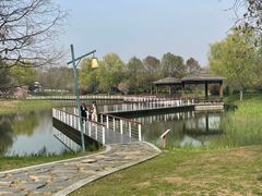 -同里国家湿地公园