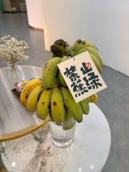 -功夫肩颈先柚美容养生
