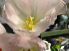 -三旗百汇商品城