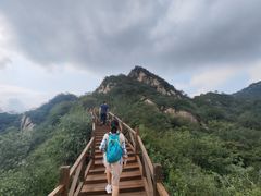 -大岭沟猕猴桃谷风景区