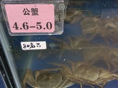 -阳澄湖大闸蟹·琼灵阁牌品牌连锁(吴中总店)