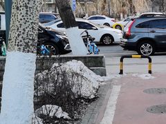 -东财大盘鸡(黑石礁店)