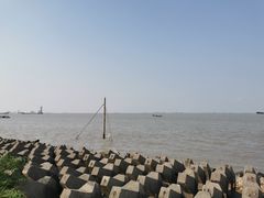 -上海滨江森林公园